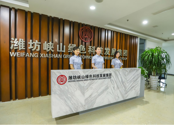 濰坊峽山綠色科技發展集團成立